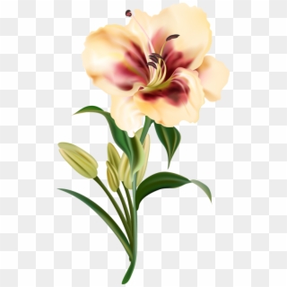 Lily Clipart Cut Flower - Flowers Drawing Png Transparent Png