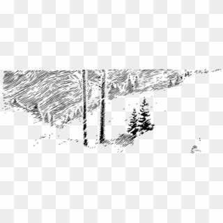 Snowy Trees - Winter Trees Clip Art - Png Download