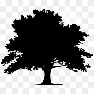 Oak Tree Silhouette Png - Silhouette Clipart