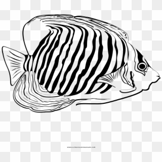 Tropical Fish Coloring Page - Coral Reef Fish Clipart