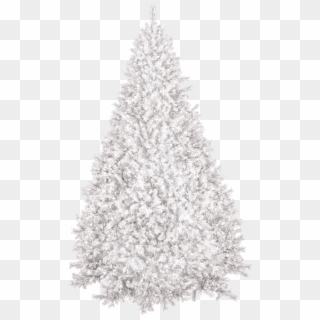 Christmas Tree, Winter, New Year's Eve, Christmas, - Artificial Christmas Tree Samples Clipart