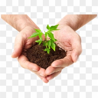 Soil In Hands Png - Plant In Hand Png Clipart
