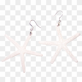 White Sugar Starfish Earrings - Earrings Clipart