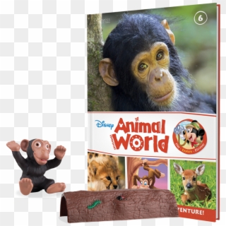 Monkey Book Plus Baby Monkey And A Log - Disney Mickey And Coco The Monkey Books Clipart