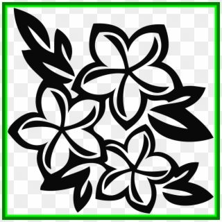 Shocking Frangipani Clipart - Black And White Plumeria Clipart - Png Download