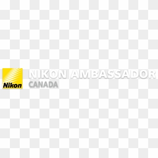 Nikon Corporation Clipart