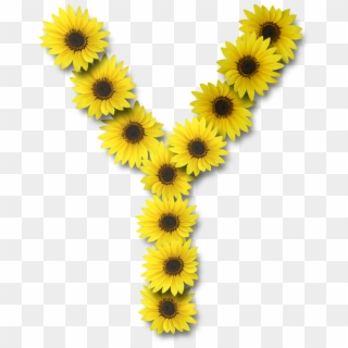 Alfabeto Sunflowers Y Alpha Flowers Pinterest Ⓒ - Y Sunflower Clipart