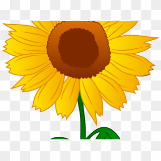 Sunflower On Clip Art - Png Download