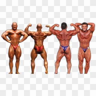 Transparent Muscles Bodybuilder - Bodybuilding Posing Trunks Clipart