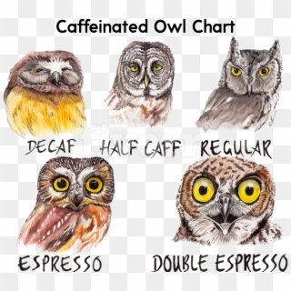 Big Worksample Image - Caffeine Owl Clipart