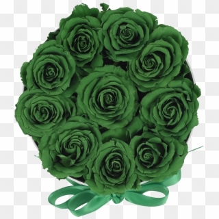 Green Roses Png - Garden Roses Clipart