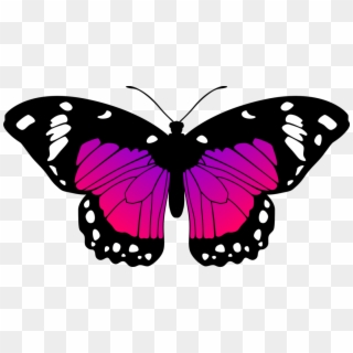 Butterflies Transparent Pink Purple - Pink And Purple Butterfly Clipart