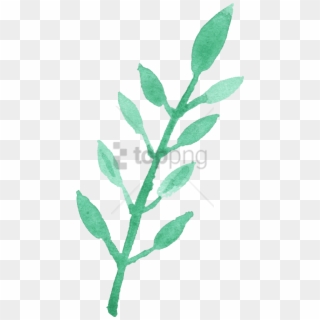 Free Png Watercolour Leaf Png Image With Transparent - Free Png Watercolour Leaf Clipart
