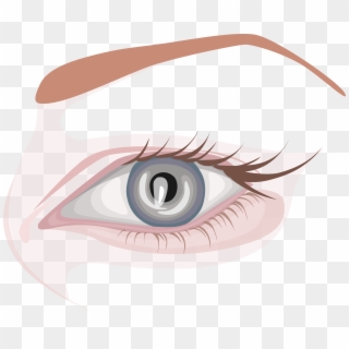 Eyebrow Vector Simple - Close-up Clipart
