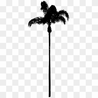 Free Png Palm Tree Png - Palm Tree No Background Clipart
