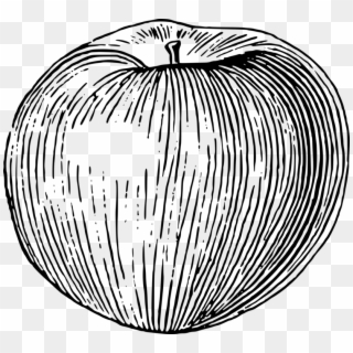 Juice Apple Pie Drawing Fruit - Apple Drawing Using Line Clipart