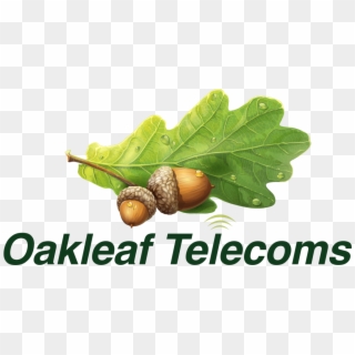 Oakleaf Logo New 1 - Acorn Clipart