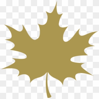 Maple Leaf Icon - Fall Maple Leaf Clipart - Png Download