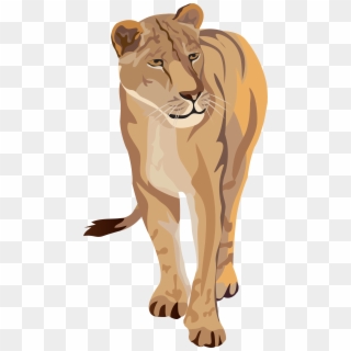 Lioness Clipart Image - Png Download