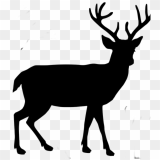Body Buck - Deer Silhouette Transparent Background Clipart