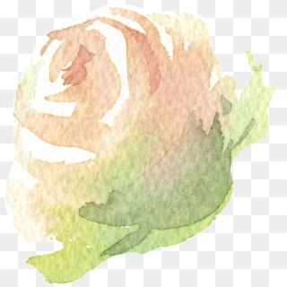Hand Painted A Champagne Rose Png Transparent - Macro Photography Clipart
