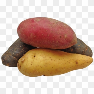 The Foams For The Study Were Made From Potato Starch, - Potatoes Png Clipart
