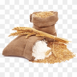 Wheat And Wheat Flour - Harina De Trigo Png Clipart