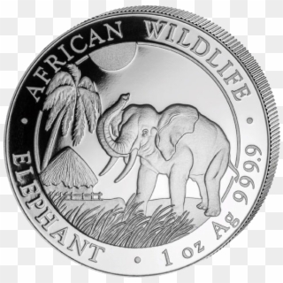 Somalia Elephant 1oz Silver Coin - Somalia Elephant 1 4 Oz 2017 Silver Clipart