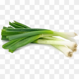 Vegetable Leek Png Hd Quality - Scallion Or Spring Onion Clipart