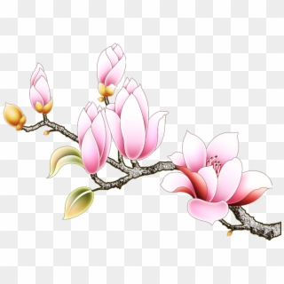 Vector Flowers Magnolia - Rosa Glauca Clipart