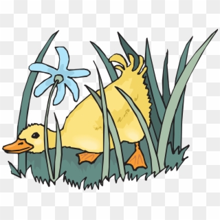 Duck In A Farm Clip Art - Png Download