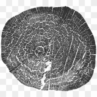 Wood Tree Stumps Pattern - Circle Clipart