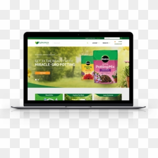 Evergreen B2b Ecommerce Web Design Overview - Laptop Clipart