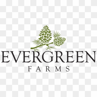 Welcome To The Evergreen Farms Community Located In - Temple University Clipart