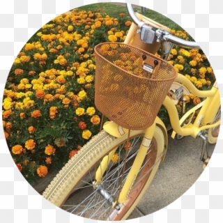 #yellow #tumblr #vintage #bike #overlay #collage#freetoedit - Yellow And Gray Aesthetic Clipart
