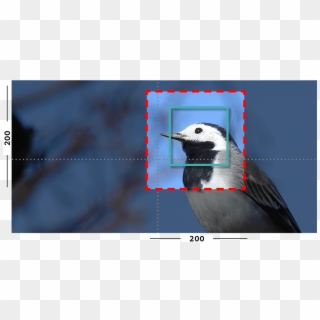 Example Of Fill And Closeness Filter On An Image With - Woodpecker Clipart