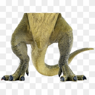 Dinosaur Legs Clipart