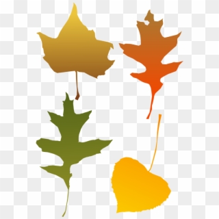 Autumn Leaves - Autumn Leaf Clip Art - Png Download
