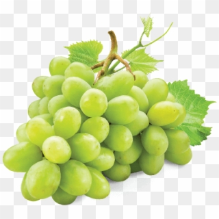 Skip To The Beginning Of The Images Gallery - White Grape Png Clipart