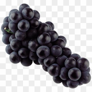 Black Grape Png Image - Black Grapes Png Clipart
