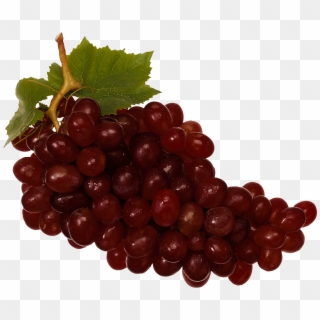 Download - Red Grapes Png Clipart