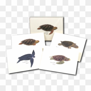 Sea Turtle Notecards - Leatherback Sea Turtle Clipart