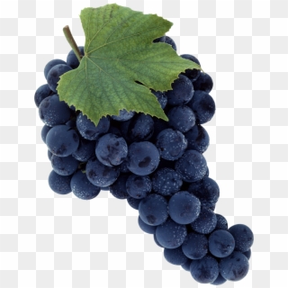 Download - Wine Grapes No Background Clipart