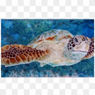 Hanging Sea Turtle - Hawksbill Sea Turtle Clipart