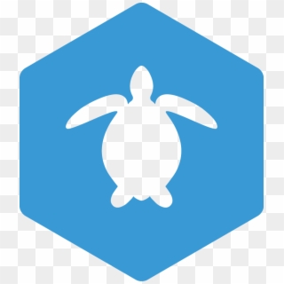 Sea Turtle Ecology And Head-starting Certification - Blue Next Icon Png Clipart
