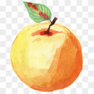Clip Freeuse Apple Png Onlygfx Com Free Download - Orange Fruit Watercolor Png Transparent Png