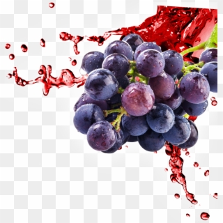 Alfa Food Egypt International Trading Company - Grape Juice Splash Png Clipart