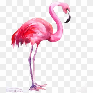 Flamingo Watercolor Painting - Water Color Flamingo Png Clipart