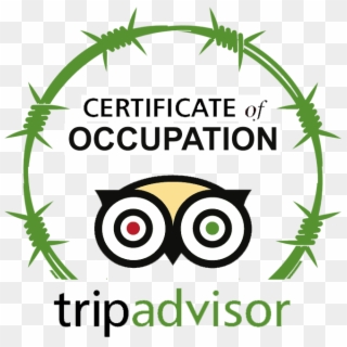 Ta Logo Occupationcopy3 Tell Tripadvisor - Trip Advisor Certificate Vector Clipart