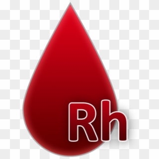Blood Group,blood,a Drop Of Blood,blood Donation,rh,rh - Blood Group Png Clipart